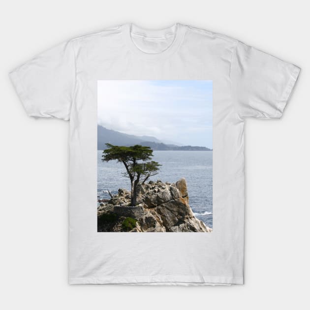 Majestic Lone Pine: Iconic Beauty of California T-Shirt by Christine aka stine1